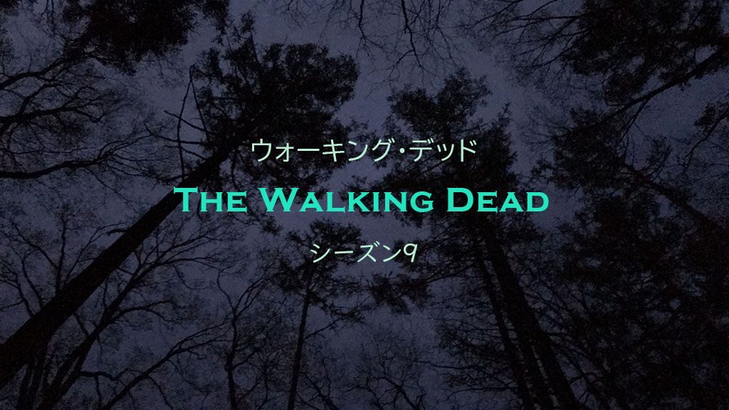 ウォーキング・デッド, The Walking Dead, シーズン9
